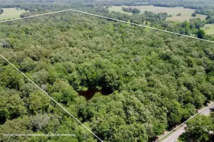 Tbd Cr 44400-3, Powderly, TX 75473 - Photo 1