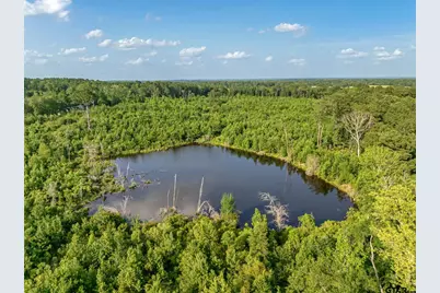 Tbd County Road 2159, Troup, TX 75789 - Photo 14