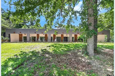 4883 Fm 2423, Grapeland, TX 75844 - Photo 2