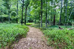 2133 E Holly Trail, Holly Lake Ranch, TX 75765 - Photo 2