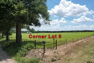 Lot 6 Vz Cr 3208, Wills Point, TX 75169 - Photo 1