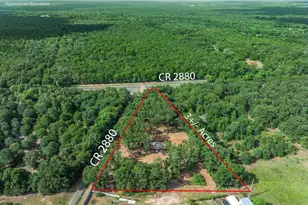 Tbd Cr 2880, Mineola, TX 75773 - Photo 1