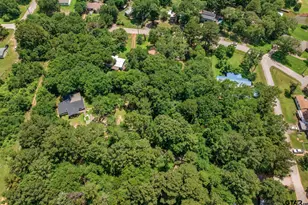 15329 Scenic View Dr, Bullard, TX 75757 - Photo 34
