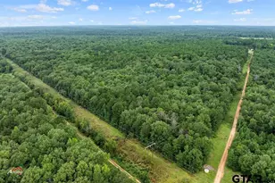 324 Ac Five Notch Rd, Marshall, TX 75670 - Photo 1