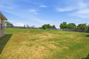 321 Katima Lane, Bullard, TX 75757 - Photo 30