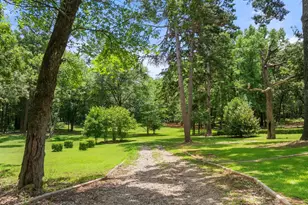 364 Co Rd 1605, Rusk, TX 75785 - Photo 4