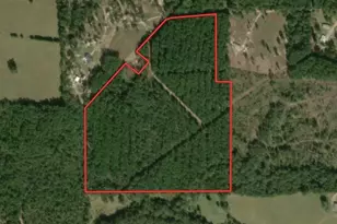 Tbd 42 Acres Cr 3116, Winona, TX 75792 - Photo 1