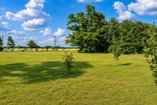 10038 County Rd 313 E, Tyler, TX 75706 - Photo 28