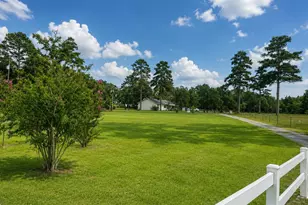 10038 County Rd 313 E, Tyler, TX 75706 - Photo 32