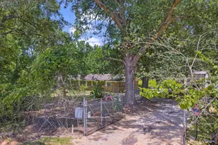 4610 N US Hwy 79, DeBerry, TX 75639 - Photo 2
