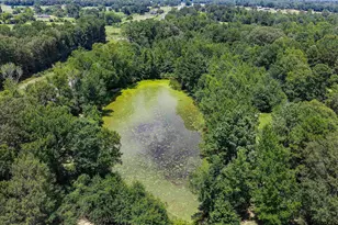 4610 N US Hwy 79, DeBerry, TX 75639 - Photo 36