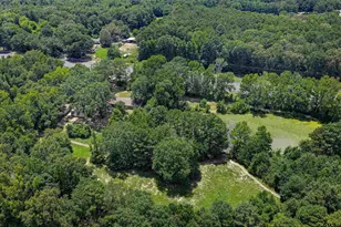 4610 N US Hwy 79, DeBerry, TX 75639 - Photo 38