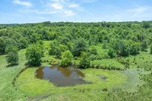 3300 Vz County Rd 1903, Edgewood, TX 75117 - Photo 18