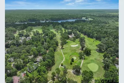 207 Pagosa Lane, Holly Lake Ranch, TX 75765 - Photo 28