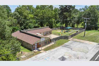 413 Sh-323, Overton, TX 75684 - Photo 1