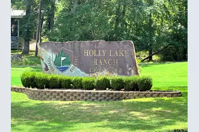 Lot 195 Green Meadow Trail, Holly Lake Ranch, TX 75765 - Photo 12