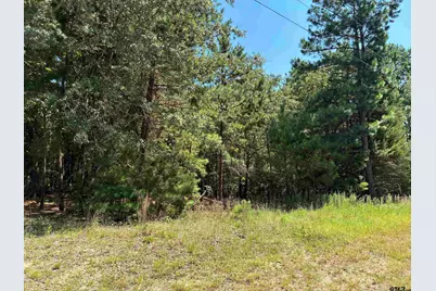 Lot 195 Green Meadow Trail, Holly Lake Ranch, TX 75765 - Photo 6