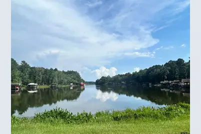 Lot 195 Green Meadow Trail, Holly Lake Ranch, TX 75765 - Photo 10