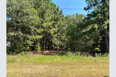 Lot 195 Green Meadow Trail, Holly Lake Ranch, TX 75765 - Photo 2