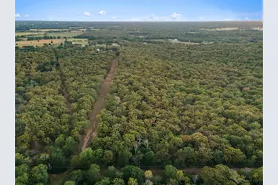 Tbd County Road 3105 - 5 Acres, Edgewood, TX 75117 - Photo 8
