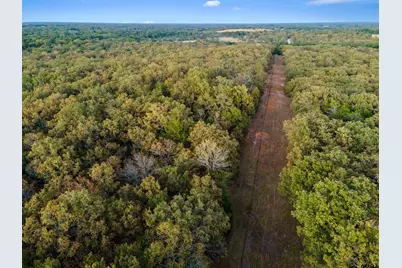 Tbd County Road 3105 - 5 Acres, Edgewood, TX 75117 - Photo 4