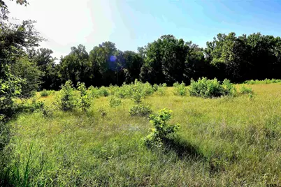 Tbd County Road 1100, Flint, TX 75762 - Photo 2
