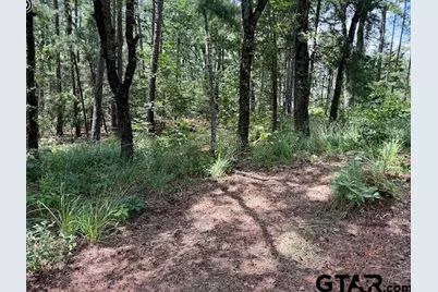 16203 County Road 436, Lindale, TX 75771 - Photo 8