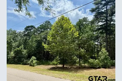 16203 County Road 436, Lindale, TX 75771 - Photo 2