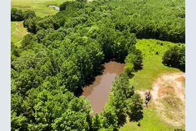 22356 County Road 2110, Troup, TX 75789 - Photo 1