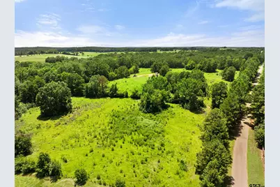 22356 County Road 2110, Troup, TX 75789 - Photo 10