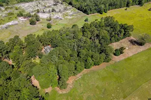497 Co Rd 3954, Mineola, TX 75773 - Photo 6