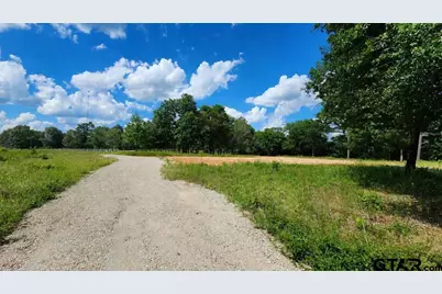 151 Bluewood Rd, Big Sandy, TX 75755 - Photo 20