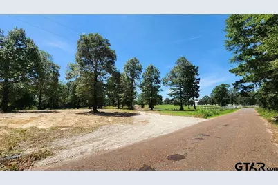 151 Bluewood Rd, Big Sandy, TX 75755 - Photo 14