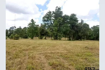 151 Bluewood Rd, Big Sandy, TX 75755 - Photo 26