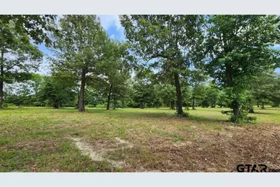 151 Bluewood Rd, Big Sandy, TX 75755 - Photo 24