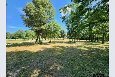151 Bluewood Rd, Big Sandy, TX 75755 - Photo 4