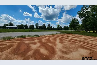 151 Bluewood Rd, Big Sandy, TX 75755 - Photo 16
