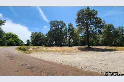 151 Bluewood Rd, Big Sandy, TX 75755 - Photo 12