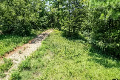 Lot 71 Star Mountain, Winona, TX 75792 - Photo 6
