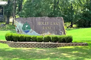 225 Holly Hill Cir, Holly Lake Ranch, TX 75765 - Photo 30