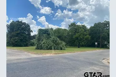 201 W College Street, Athens, TX 75751 - Photo 4