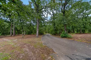 1325 Private Rd 7905, Hawkins, TX 75765 - Photo 10