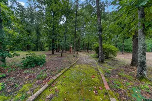 1325 Private Rd 7905, Hawkins, TX 75765 - Photo 4