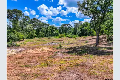 317 County Road 1410, Quitman, TX 75783 - Photo 40