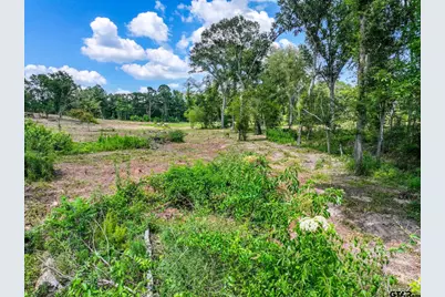 317 County Road 1410, Quitman, TX 75783 - Photo 36