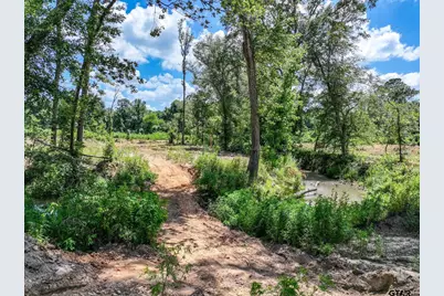 317 County Road 1410, Quitman, TX 75783 - Photo 30
