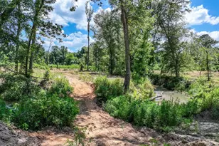 317 Co Rd 1410, Quitman, TX 75783 - Photo 30