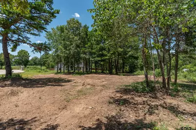 21019 Patriot Circle, Tyler, TX 75703 - Photo 6