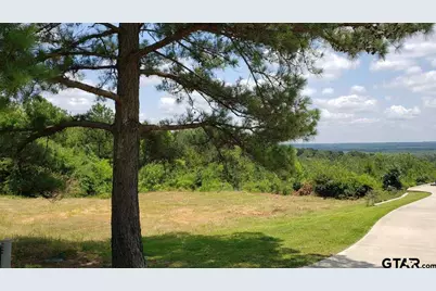 0 Skyline Dr., Brownsboro, TX 75756 - Photo 4