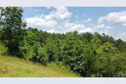 0 Skyline Dr., Brownsboro, TX 75756 - Photo 8